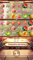 Ninja Raccoon Frenzy · Panduan Antarmuka dan Alur Bermain Slot Ninja Raccoon Frenzy